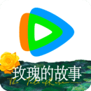 多腿爬行动物图片
